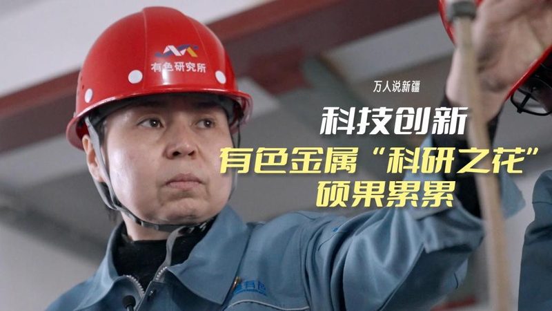 上海大数据服务公司报价解析：揭秘成本构成与优化策略